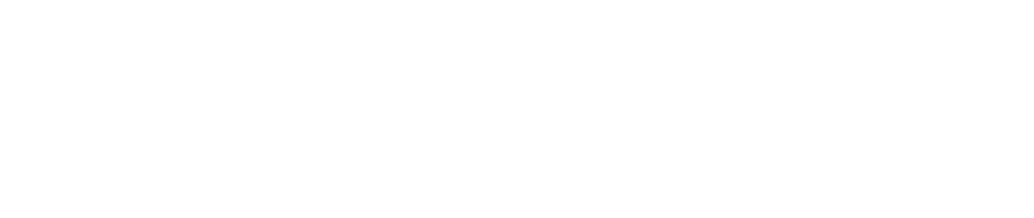 Logo Studio Solazzi